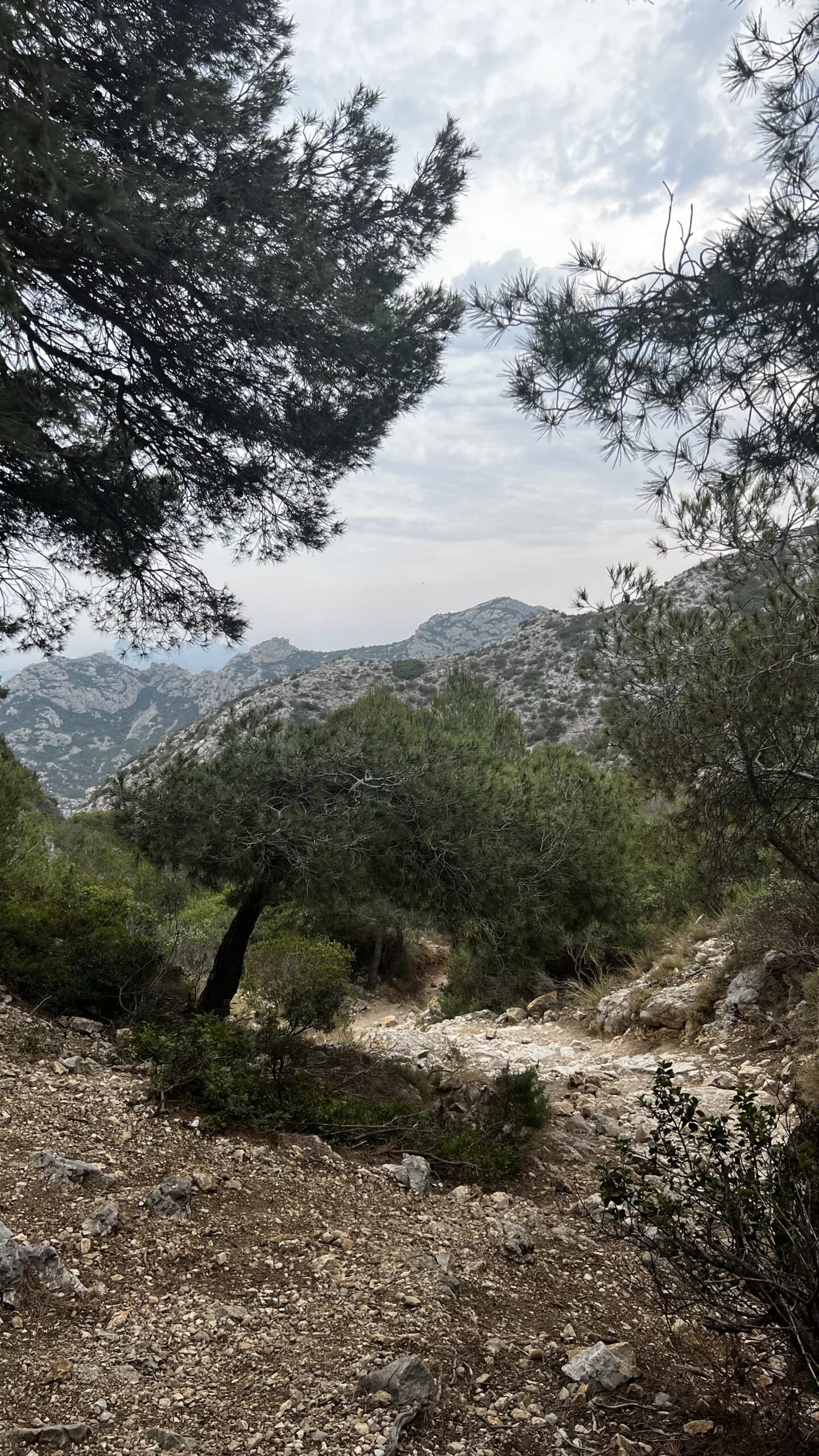 trails-calanques-marseille